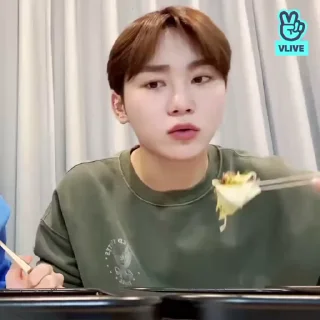 👽 emoji seungkwan @SSICTS Telegram sticker 15 of 40