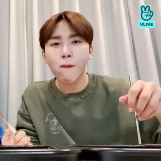 👽 emoji seungkwan @SSICTS Telegram sticker 17 of 40