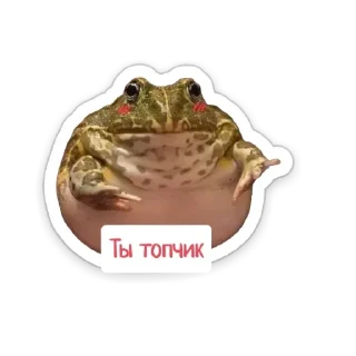 😍 emoji Жабки🐸 Telegram sticker 1 of 4