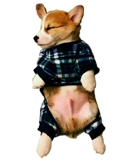 🙁 emoji Corgis @stickersb2b Telegram sticker 13 of 20