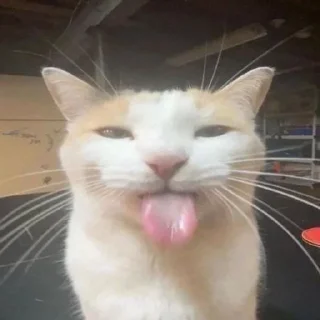 Sticker from Котеки