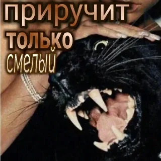 🙈 emoji Больше стиков тут: @stikery4 Telegram sticker 16 of 39