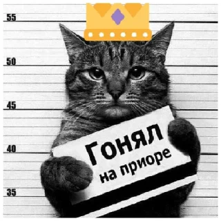😊 emoji ОПЕРСКИЕ СТИКЕРЫ (@emopix) Telegram sticker 4 of 28