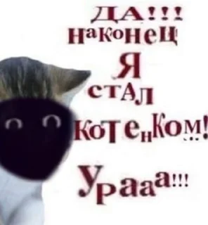 🥵 emoji Каталог Манделских ублюдков @Encounter_N Telegram sticker 12 of 120