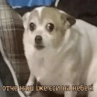 😳 emoji козацькі прикольчікі Telegram sticker 2 of 71