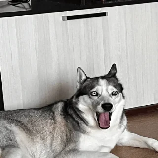 😱 emoji гола🤑🤑🤑 Telegram sticker 9 of 18