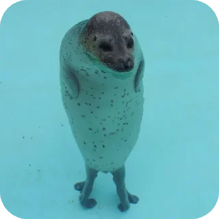 🌊 emoji ТЮЛЕНЧИКИ 🦭🦭🦭🦭🦭🦭🦭 Telegram sticker 23 of 40