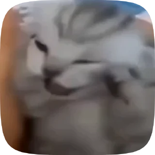 😤 emoji Лучшие стикеры: @animstikers1 Telegram sticker 24 of 45