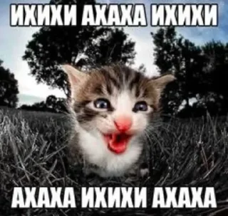 😁 emoji Больше стикеров 👉🏻 @stickertg4 Telegram sticker 12 of 49