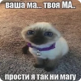 🌟 emoji я который самый несчастный Telegram sticker 24 of 60