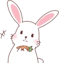 Sticker from Fox and Rabbits :: @line_stickers