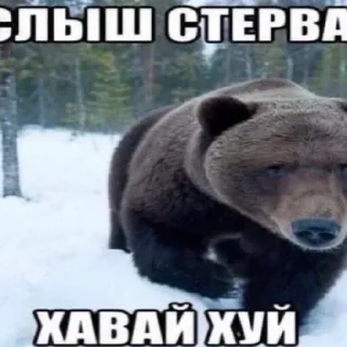 🤣 emoji Больше стиков тут: @stikery4 Telegram sticker 1 of 99