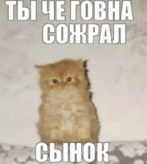 😔 emoji тєфтєлі ➡️ @Ctikerubot Telegram sticker 2 of 13