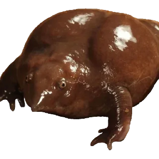 😐 emoji Больше стиков тут: @stikery4 Telegram sticker 6 of 119