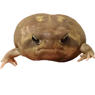 😡 emoji Больше стиков тут: @stikery4 Telegram sticker 2 of 119