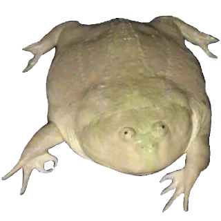 👌 emoji Больше стиков тут: @stikery4 Telegram sticker 9 of 119