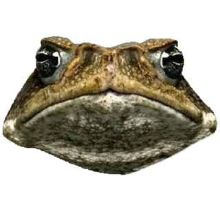😤 emoji Больше стиков тут: @stikery4 Telegram sticker 24 of 119