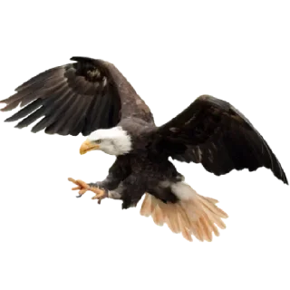 😄 emoji Больше стиков тут: @stikery4 Telegram sticker 9 of 19
