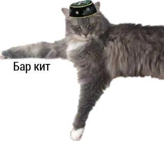 👈 emoji Татарча стикерлар Telegram sticker 22 of 36