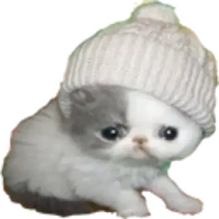 ✨ emoji Under stickers Telegram sticker 5 of 75