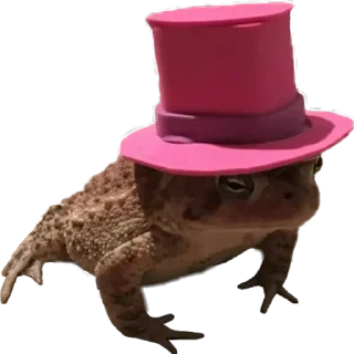 🎩 emoji жабки!! Telegram sticker 24 of 89