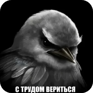 Sticker from вряд-ли😾