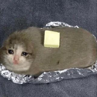 😭 emoji Грустные котики Telegram sticker 8 of 15