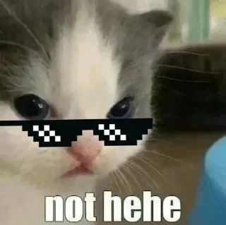 🐈 emoji hehe ultimate @hanatachi Telegram sticker 18 of 35