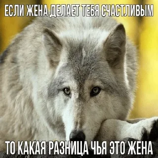 ☝️ emoji Волчья мудрость ☝️☝️☝️ (матершинное) Telegram sticker 24 of 102