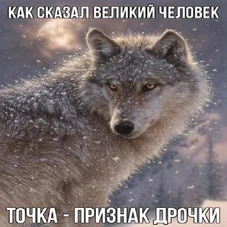 ☝️ emoji Волчья мудрость ☝️☝️☝️ (матершинное) Telegram sticker 5 of 102