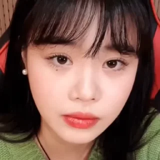 🫒 emoji SOOJIN — @amourstick Telegram sticker 21 of 50