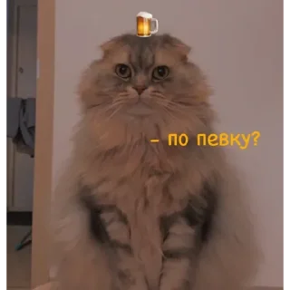 💟 emoji ✨🧡 Пух 🧡✨ Telegram sticker 11 of 30