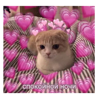 Sticker from Просто стикер