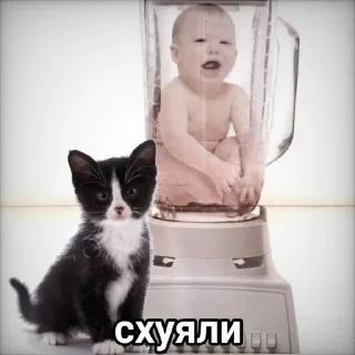 🌟 emoji РаZгон рOутероV pack by @QuotLyBot Telegram sticker 20 of 120