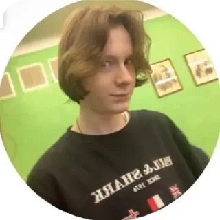 Sticker from ДЕВЯТь бэ