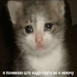 😭 emoji Больше стикеров: @sticerru Telegram sticker 15 of 120
