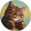 😊 emoji Some Cats Telegram sticker 9 of 37