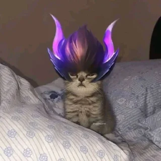 😐 emoji Ло Йи и Чонг ❤️ Telegram sticker 6 of 22