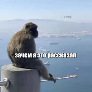 Sticker from СБОРНАЯ СОЛЯНКА