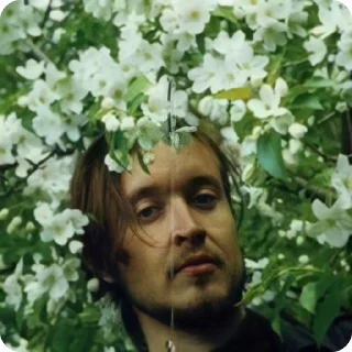 🌼 emoji Сборная солянка Telegram sticker 15 of 25