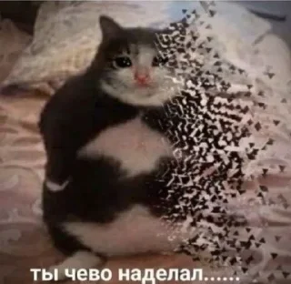 😱 emoji Больше стикеров 👉🏻 @stickertg4 Telegram sticker 22 of 120