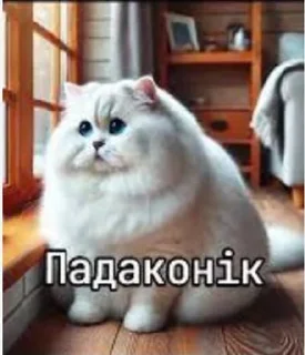 Sticker from Разноцветные укуренные коты