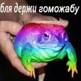 🏳️‍🌈 emoji Держи жабу Telegram sticker 19 of 73