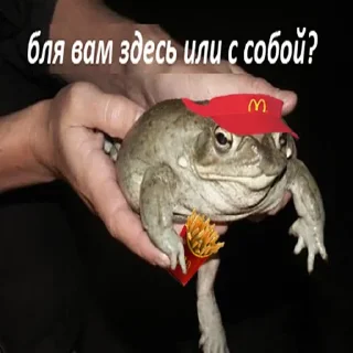 🍟 emoji Держи жабу Telegram sticker 5 of 73