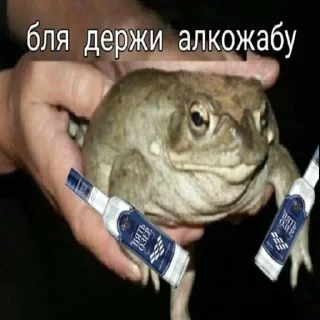 🍾 emoji Держи жабу Telegram sticker 9 of 73