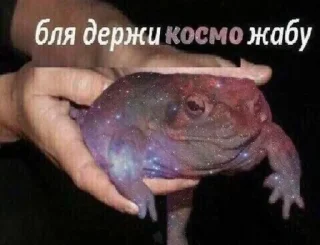 🐸 emoji Бля, держи! Telegram sticker 12 of 17
