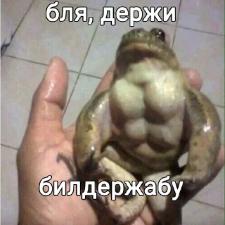💪 emoji Держи жабу Telegram sticker 12 of 73