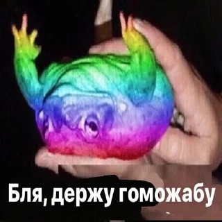 🌈 emoji Держи жабу Telegram sticker 22 of 73