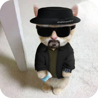 🎩 emoji Breaking meme's Telegram sticker 2 of 21