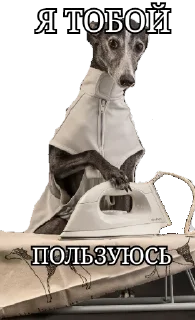 Sticker from Утюг Утюговый